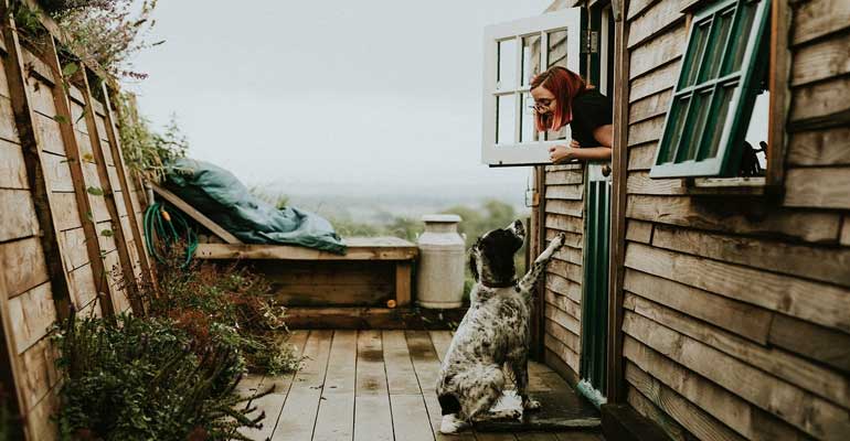 Awesome Image